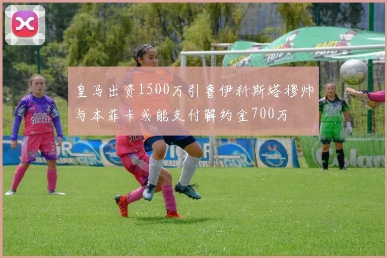 皇马出资1500万引鲁伊科斯塔穆帅与本菲卡或能支付解约金700万
